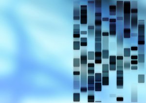 烏拉特后旗羽絨加工有限責任公司