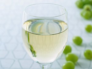 新巴爾虎右旗魚苗有限責任公司