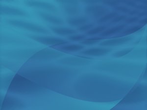 察哈爾右翼后旗園藝有限責(zé)任公司