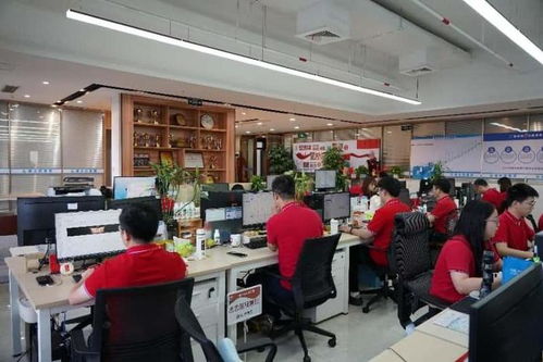 德永信集團(tuán)品牌建設(shè)日 以閱兵精神賦能高質(zhì)量注冊公司代辦服務(wù)